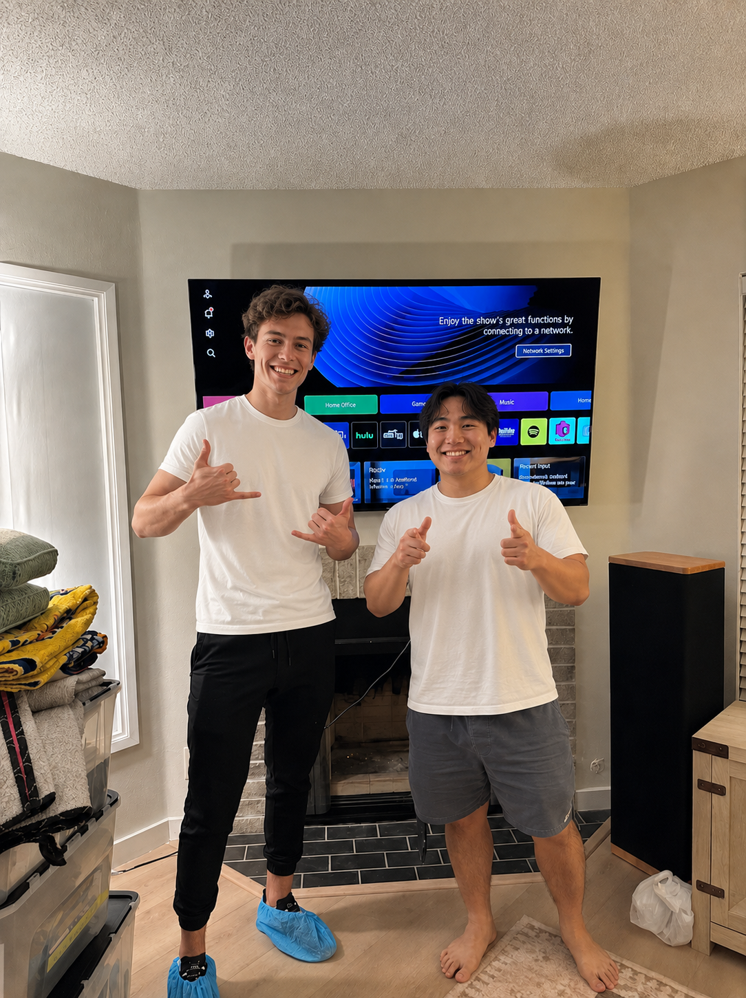 TV mount job Los Angeles